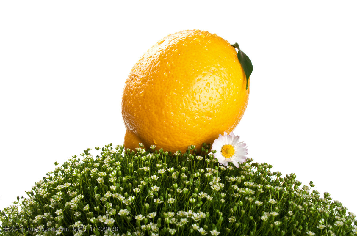 鲜花 上 柠檬 水果 新鲜水果 摄影图 草地 橙子 蔬菜图片 餐饮美食