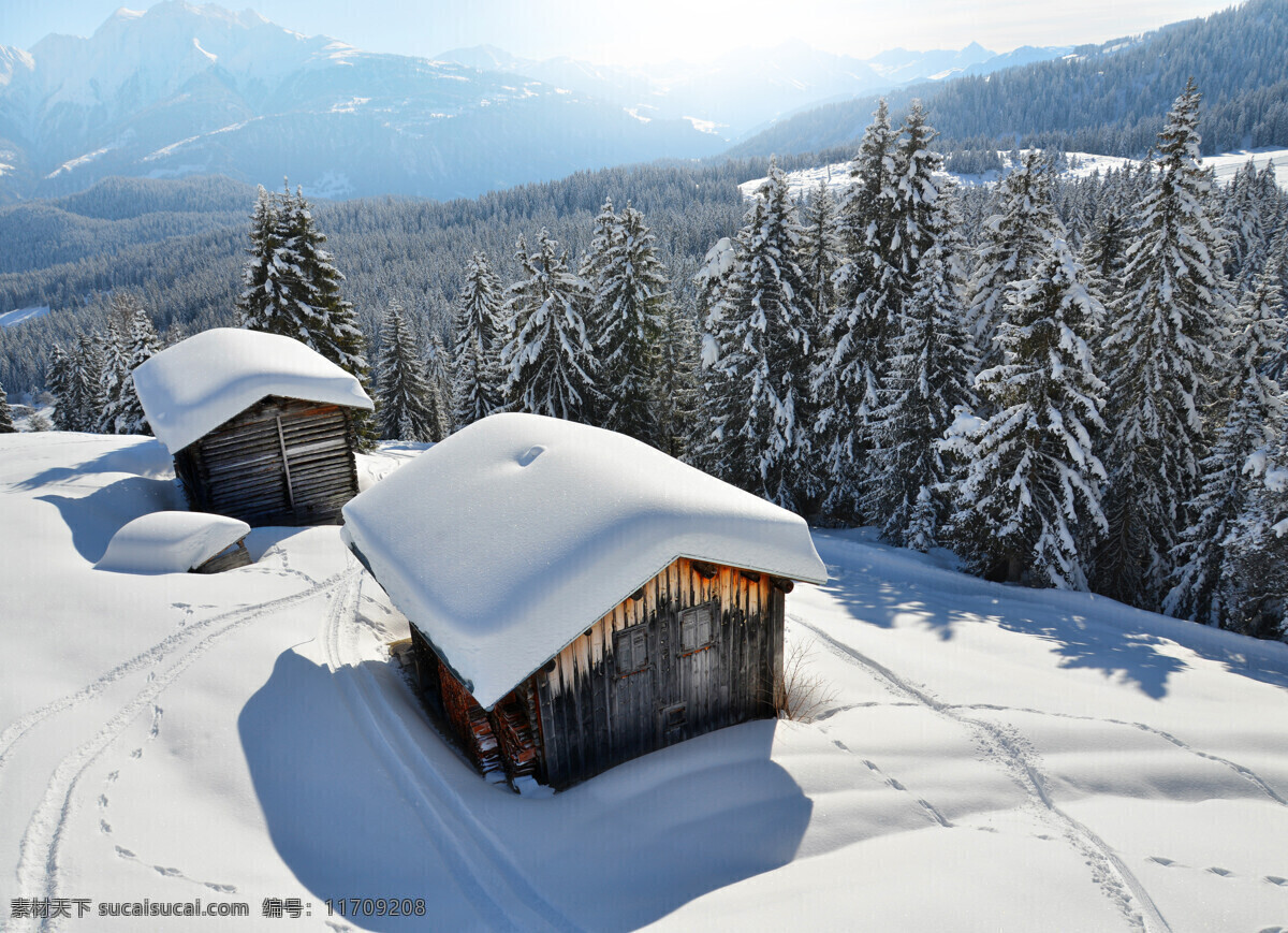 雪地上的小屋 雪地 小屋 冬季 树木 风景 自然风景 自然景观 白色