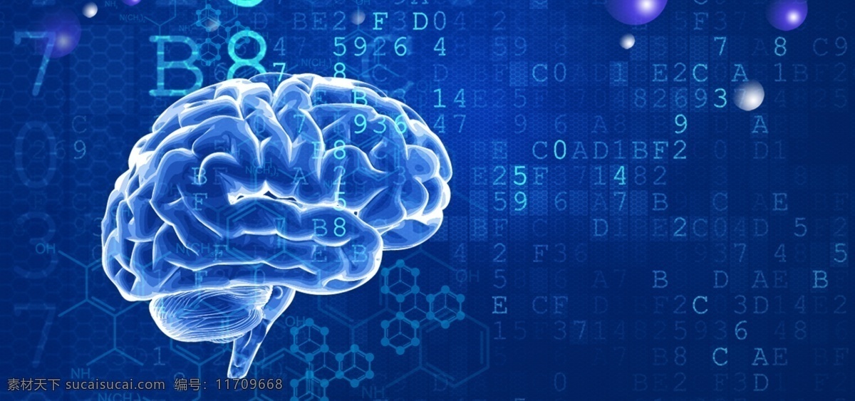最强 大脑 代码 高手 科技 数字 商务 简约 蓝色 冷色调