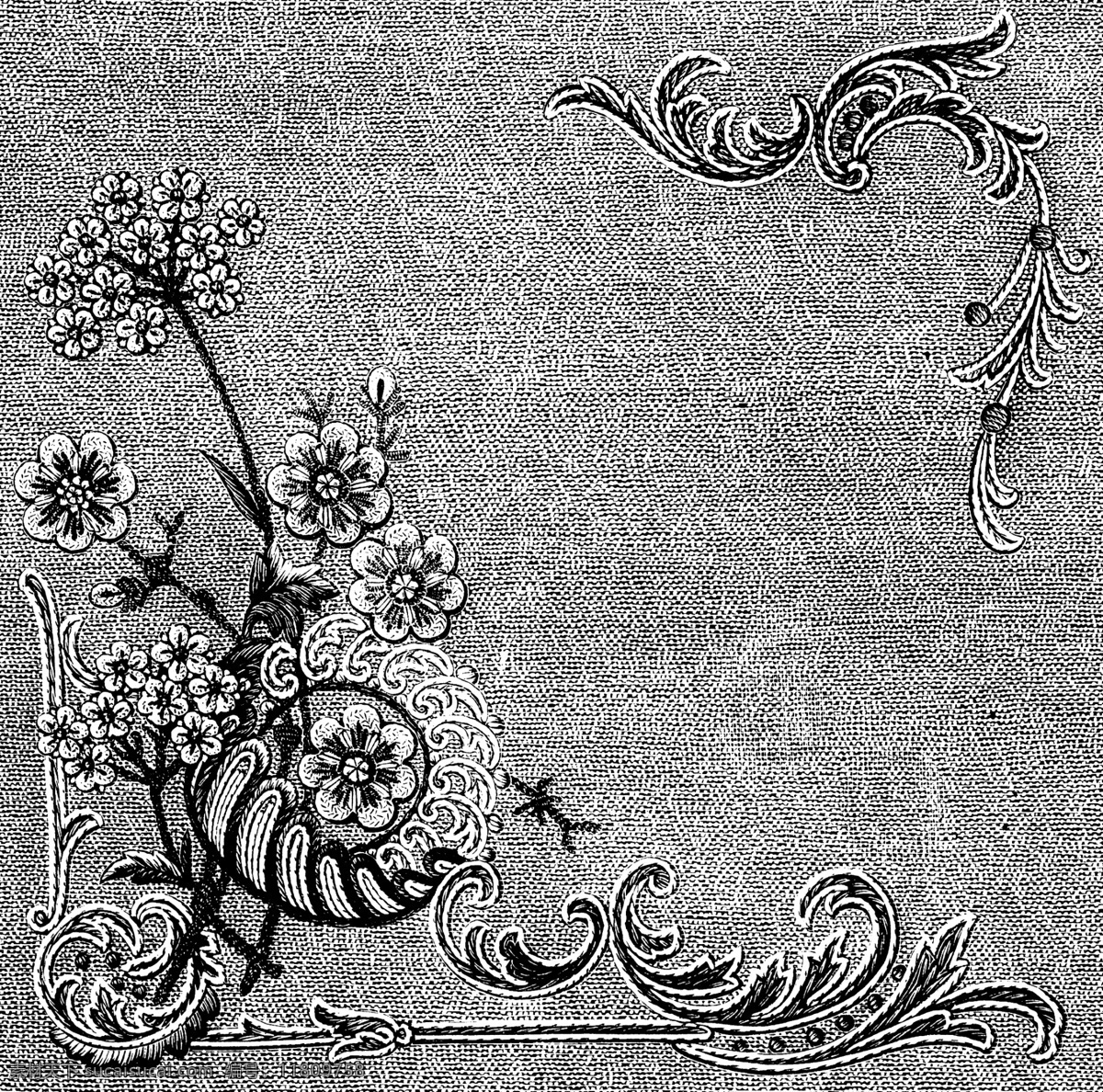 黑白 花边 植物 纹样 线条 花卉 服装边饰 刺绣 传统文化 文化艺术