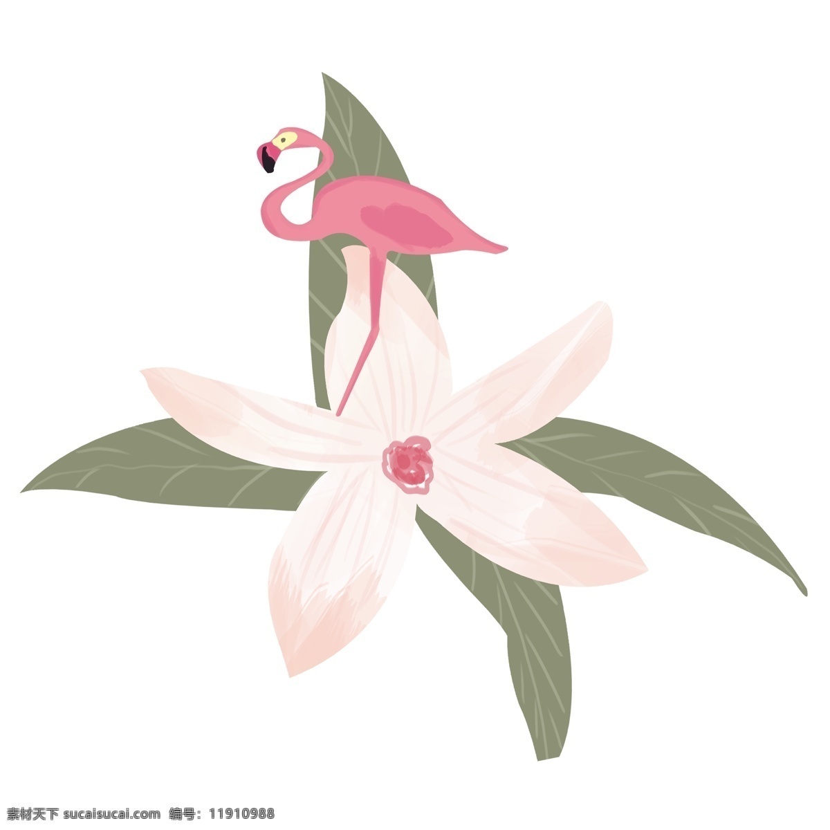 手绘 花朵 火烈鸟 商用 元素 插画 植物 花卉