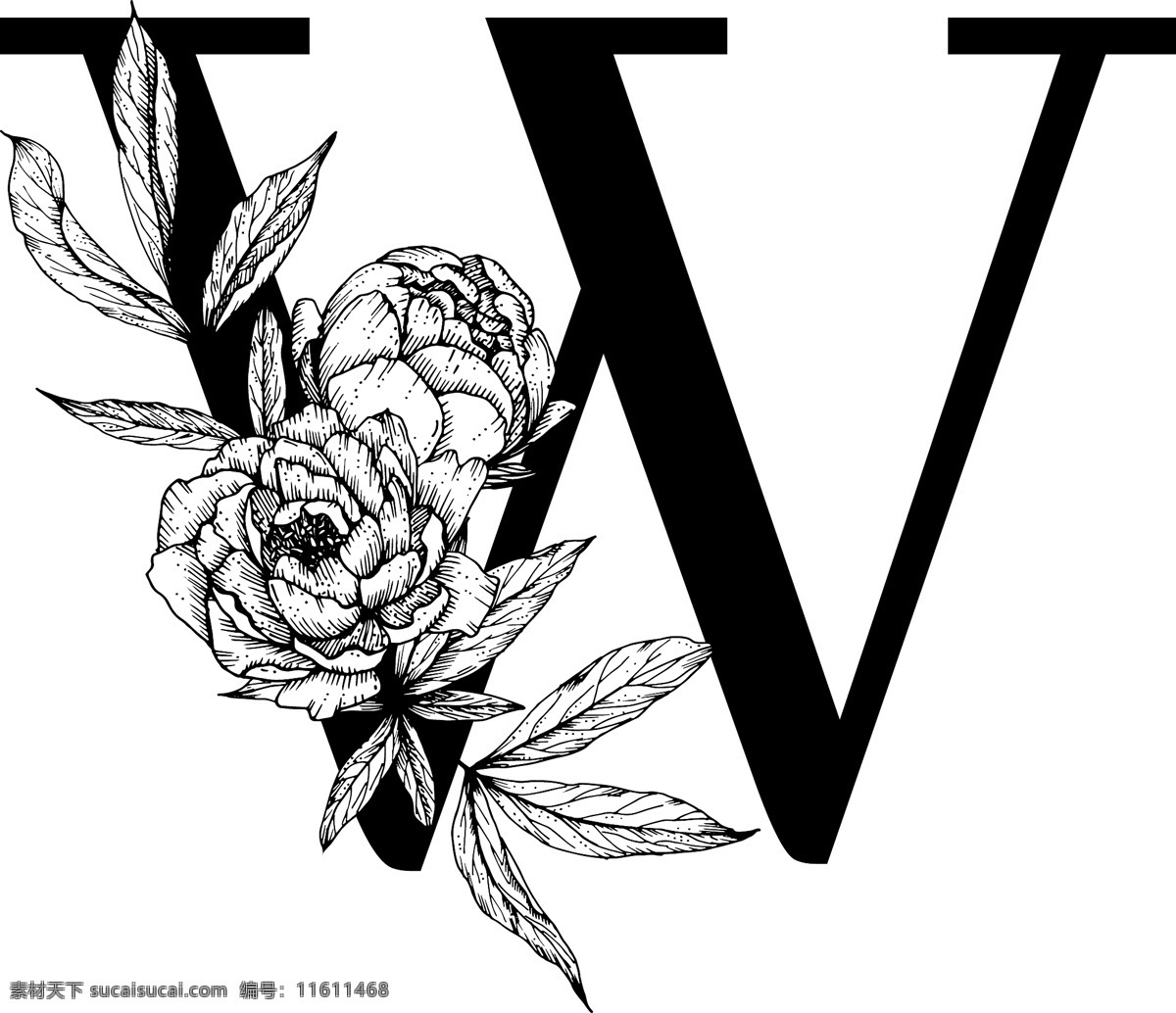 线描 花朵 装饰 字母 英文 字体 鲜花 黑白 矢量 高清图片