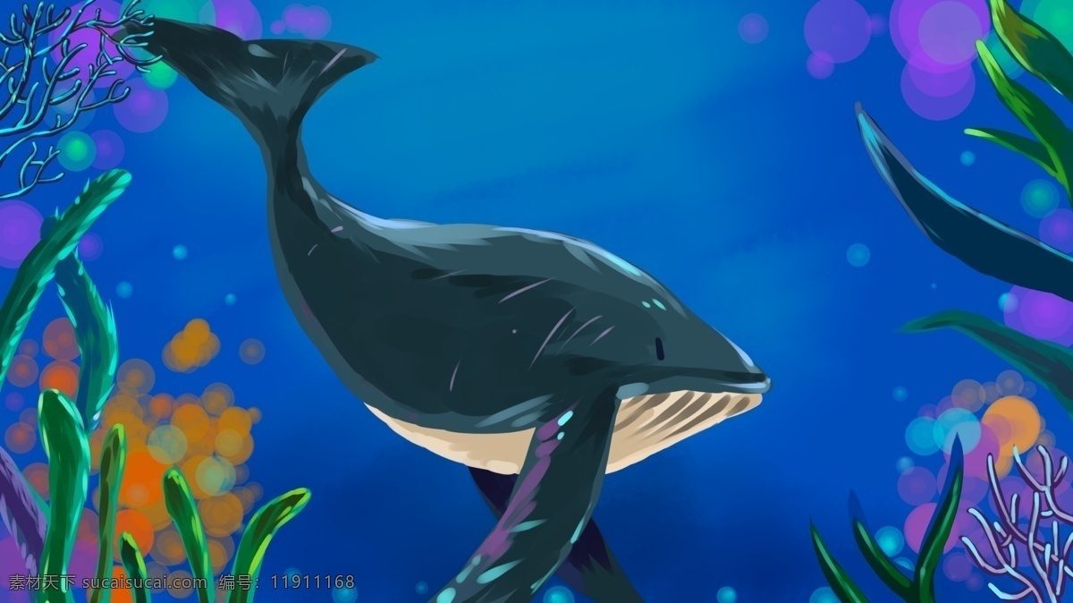 深海 植物 鲸鱼 卡通 背景