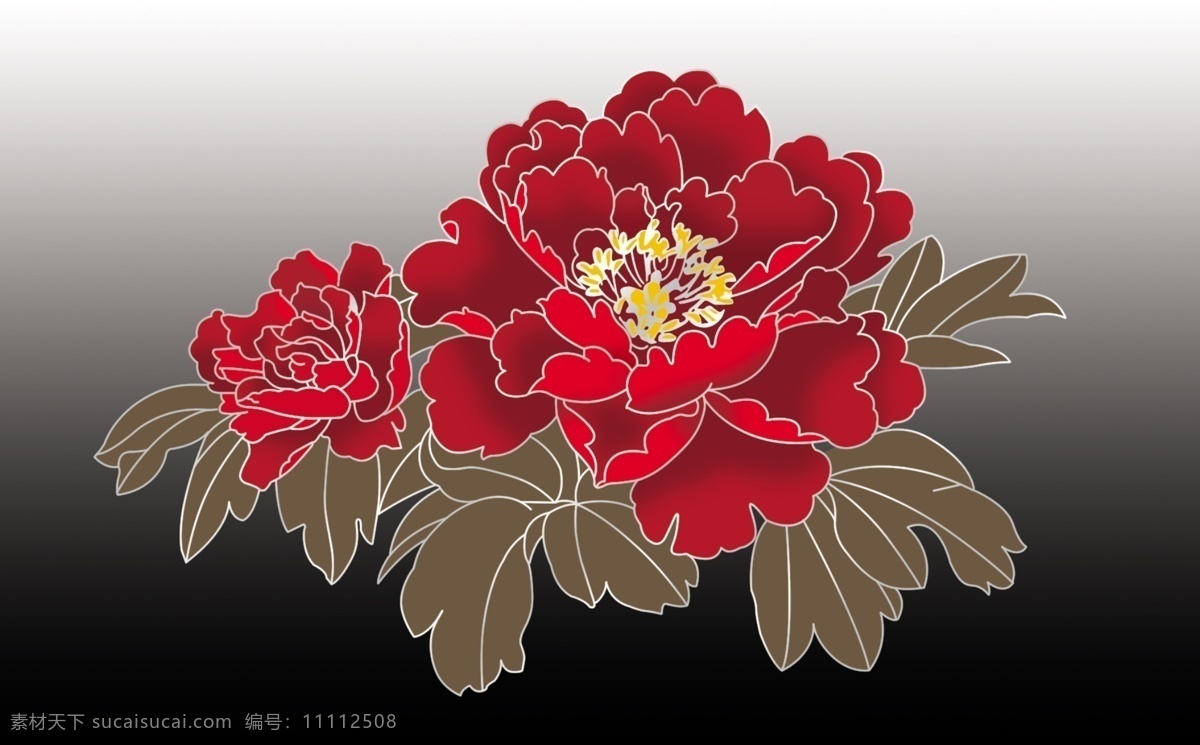 红 牡丹花 花瓣 全部 分层 红牡丹 红色牡丹花 红花 分层花朵 源文件
