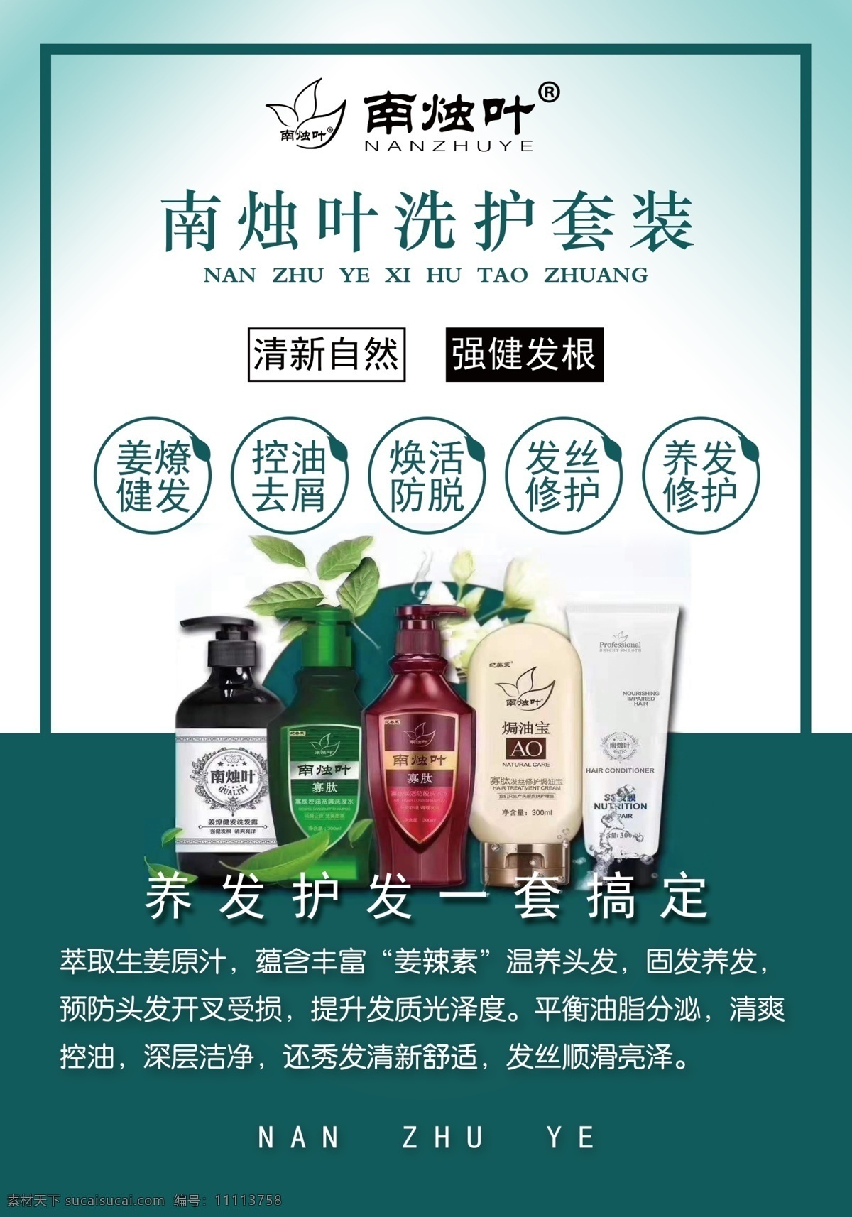 南 烛 叶 植物 染发 南烛叶 海报 招贴 洗护套装 招贴设计