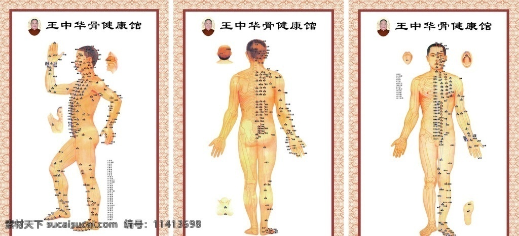 人体经络图 人体 经络图 穴位图 穴位 养生 医院 挂图 看画 边框 健康 火疗 穴 矢量