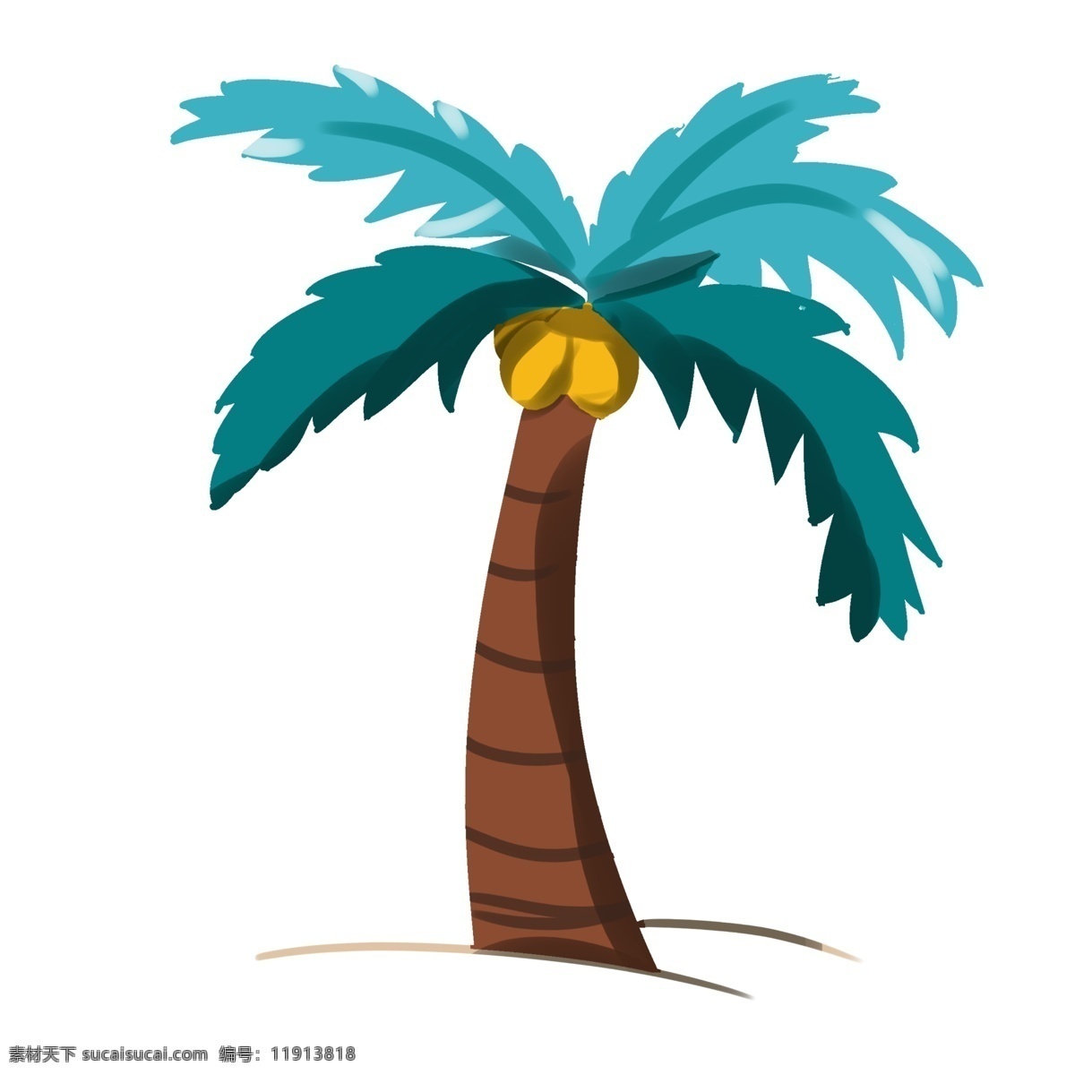 种植 夏日 椰子树 海南 自然 树叶