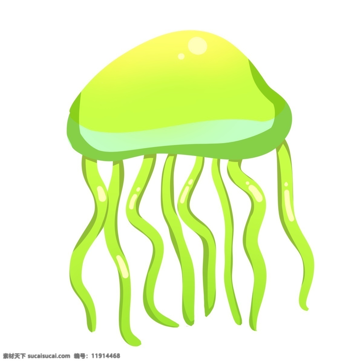 绿色海洋水母 水母 动物 海洋生物