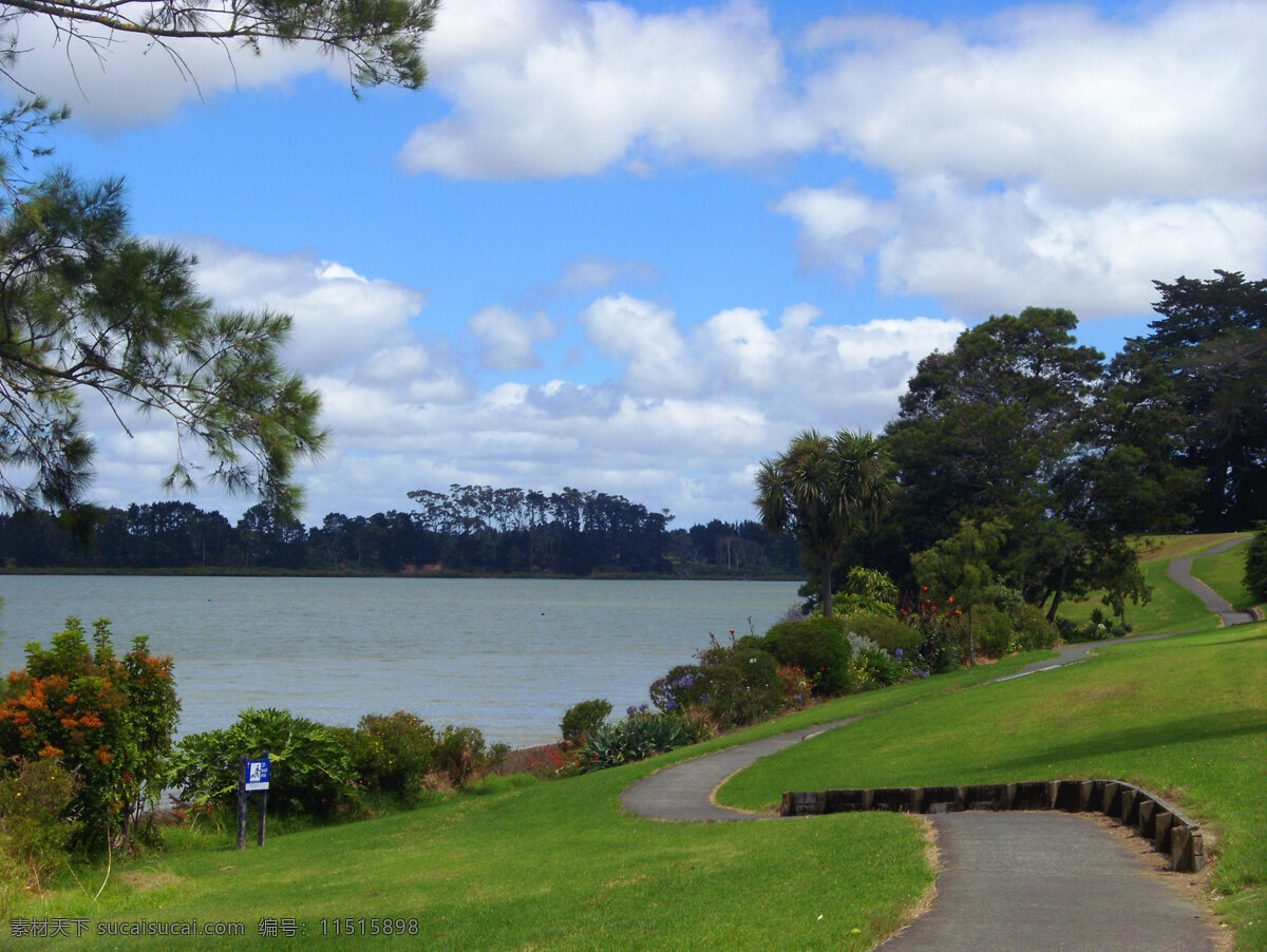 新西兰 海滨 风光 蓝天 白云 海湾 海水 绿树 绿地 绿草地 蜿蜒小路 国外旅游 旅游摄影
