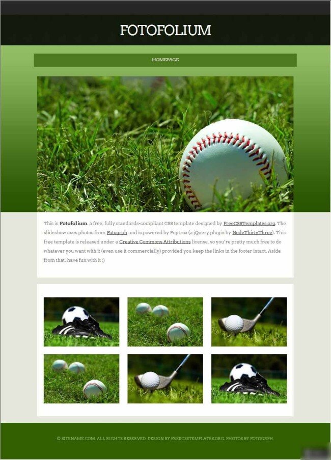 高尔夫 绿荫 信息 网站 模板 高尔夫球 欧美风格 绿荫图片 绿色色调 网页素材 网页模板