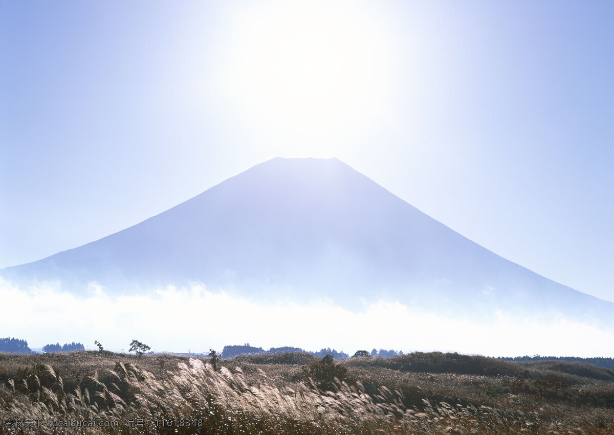 富士山 日本 雪山 旅游 国外旅游 37樱花 自然景观 自然风景 白色