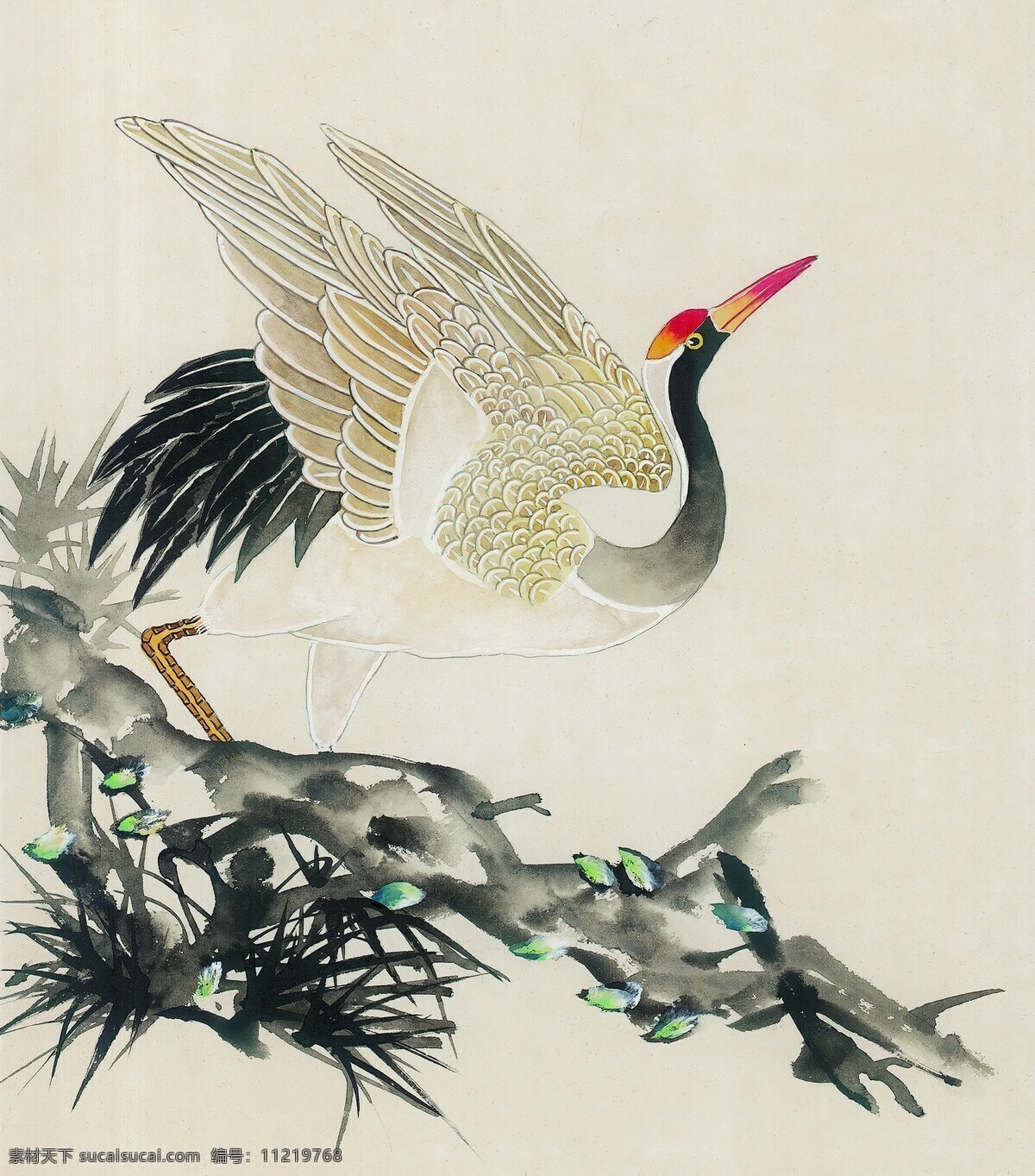 仙鹤 漂亮 准备 飞翔 文化艺术 绘画书法 吉祥鸟类 设计图库