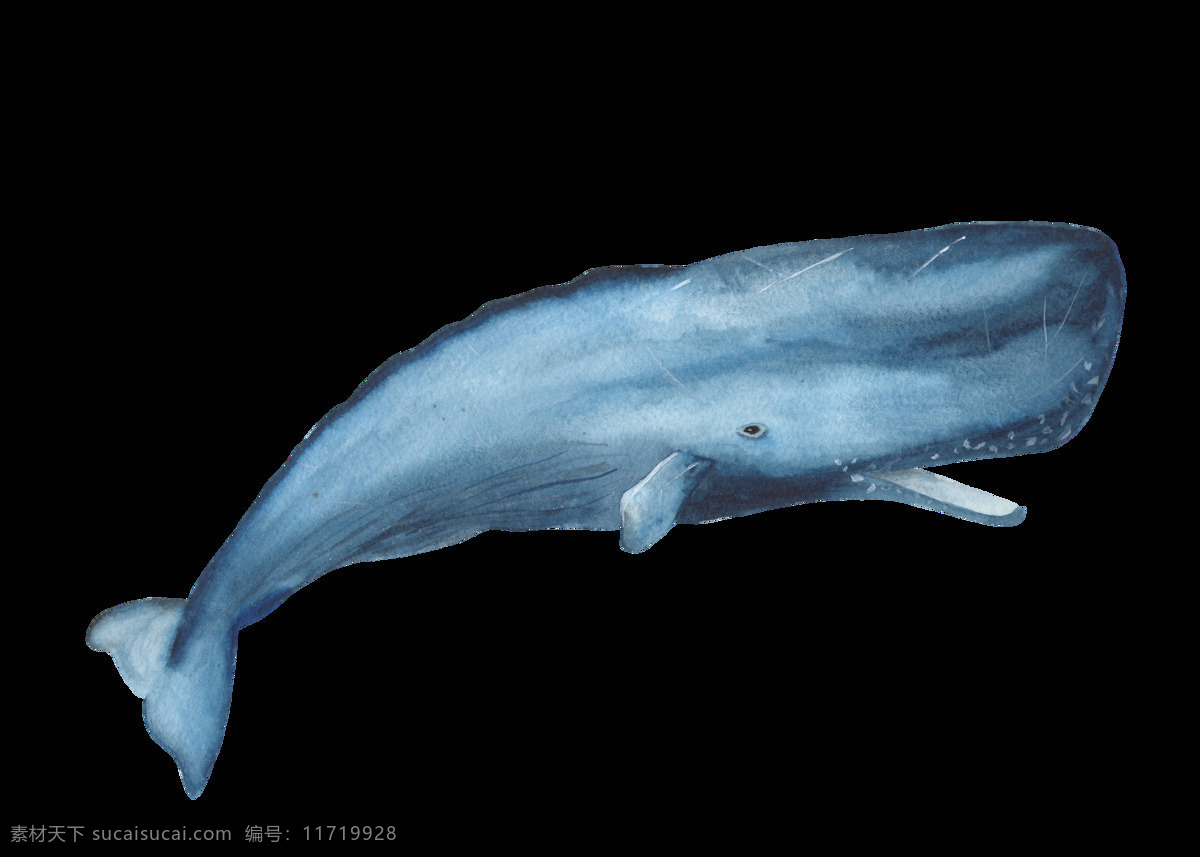 海洋生物 鱼 图案 鲸鱼 淡蓝色水彩画 水彩元素 手绘涂鸦 海洋元素 海洋主题装饰