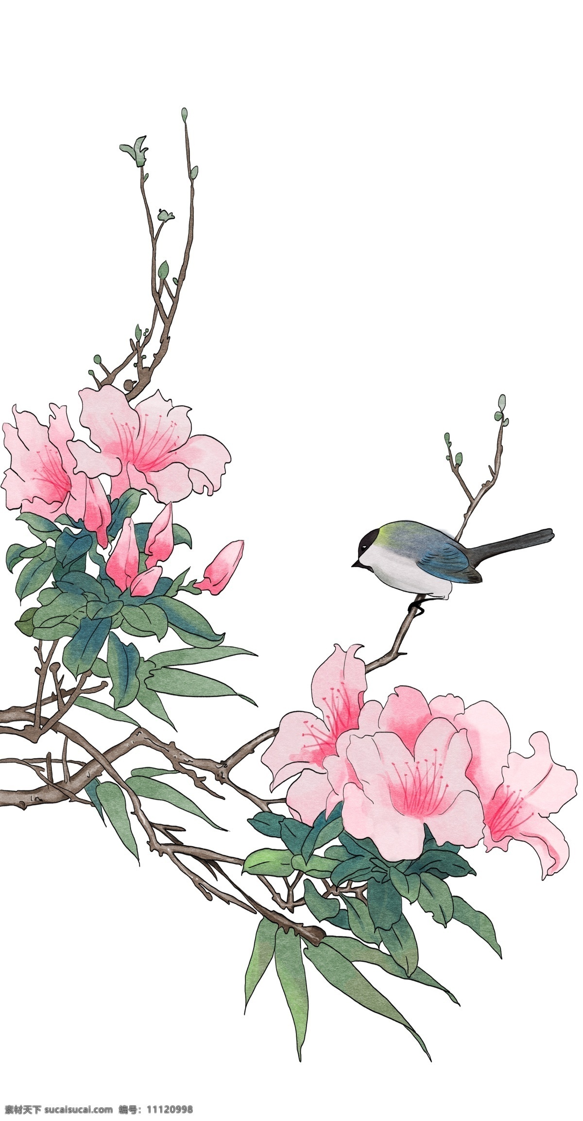 植物 卡通 手绘 插画 牡丹花 粉色 中国风 麻雀 小鸟 动物 唯美 清新 树干 简单 工笔画 彩色 简约风 树叶 叶子