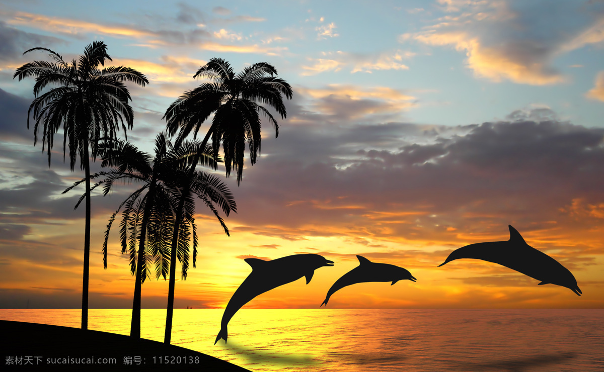 椰子树 海豚 剪影 大海 黄昏 落日 风景 自然美景 大海图片 风景图片