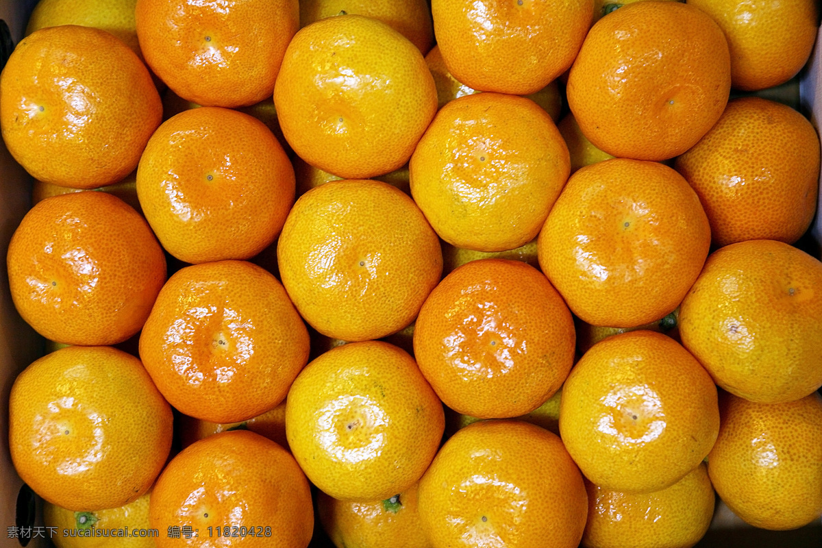 桔子 柑桔 水果 新鲜 新鲜水果 清晰 光泽 高光 酸甜可口 水果蔬菜 餐饮美食 橙色