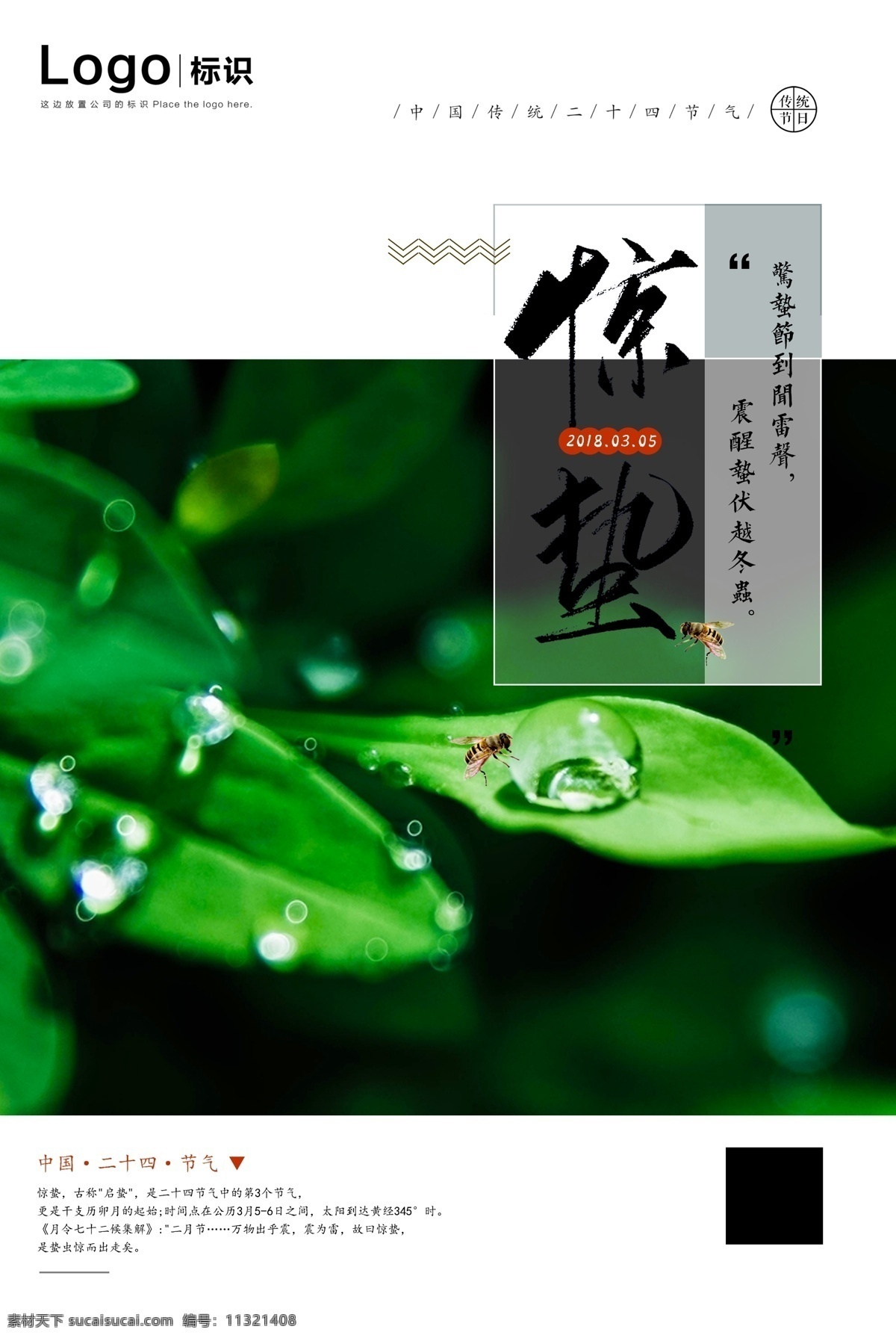 惊蛰海报 海报 雨水 立春 谷雨 中国风 小清新 简约 清新 春天 春天节气 节气海报 竹叶 踏青 二十四节气 清明节 清明 水墨 春分 小满 芒种 创意 极简 唯美 桃花 桃花节 24节气 惊蛰节气 小清新背景 绿色海报 节日海报