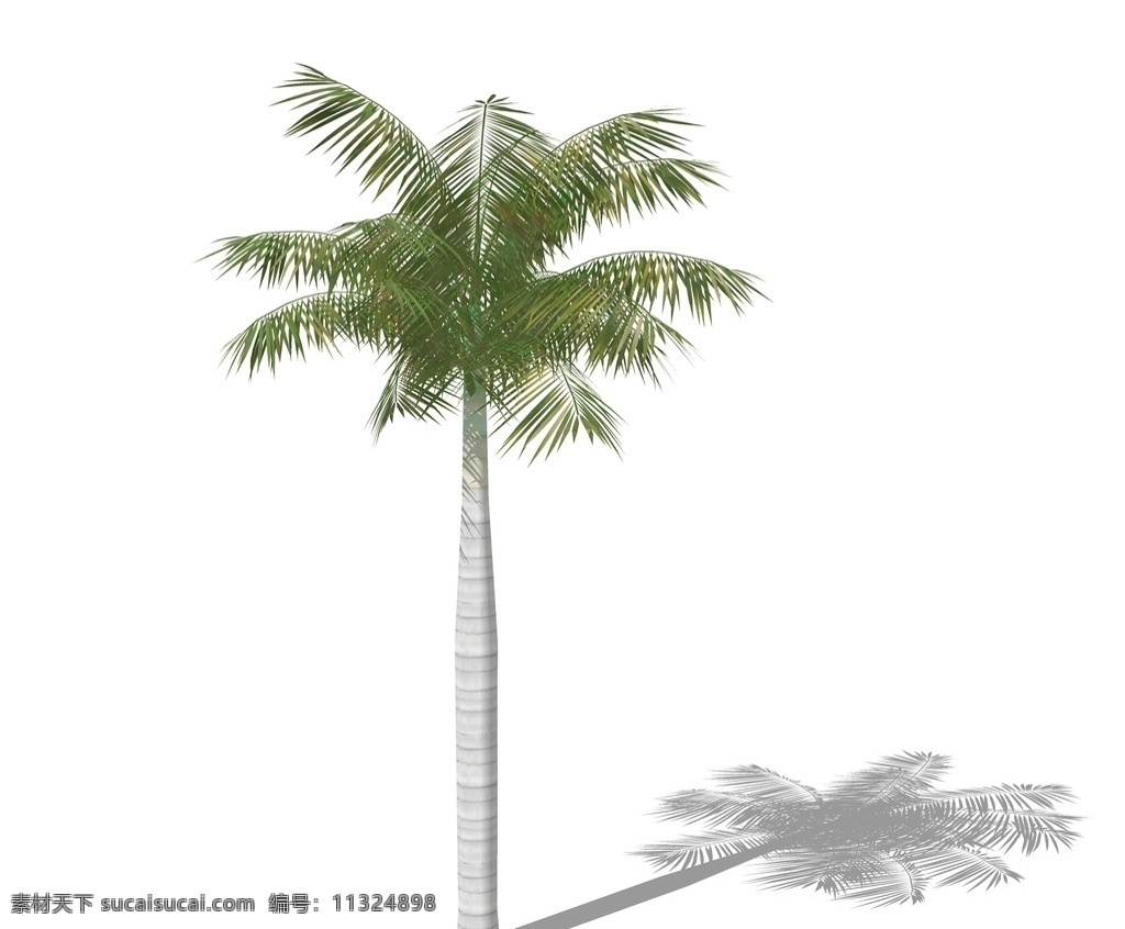 su植物模型 棕榈芭蕉 蒲葵 椰子树 su植物素材 sketchup 植物 su树 3d植物模型 景观设计 园林设计 植物素材 su配景 skp植物 草图大师植物 景观 su模型 su3d树 su植物 环境设计 skp