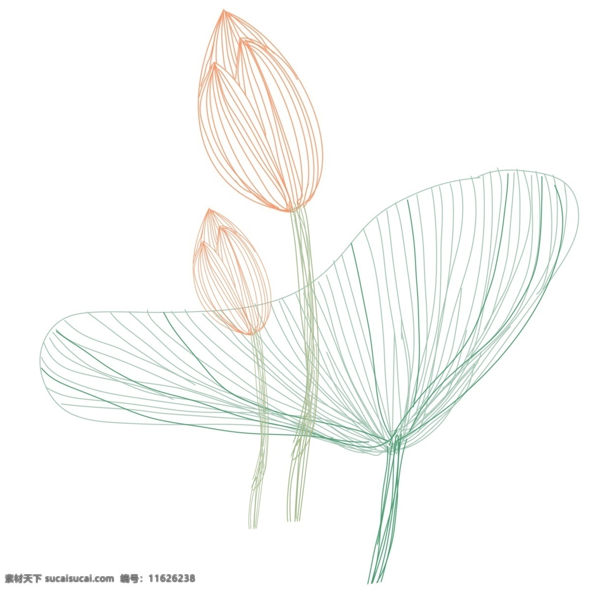 线条 荷花 装饰 插画 粉色的荷花 线条荷花 漂亮的荷花 绿色的荷叶 植物装饰 创意荷花 立体荷花