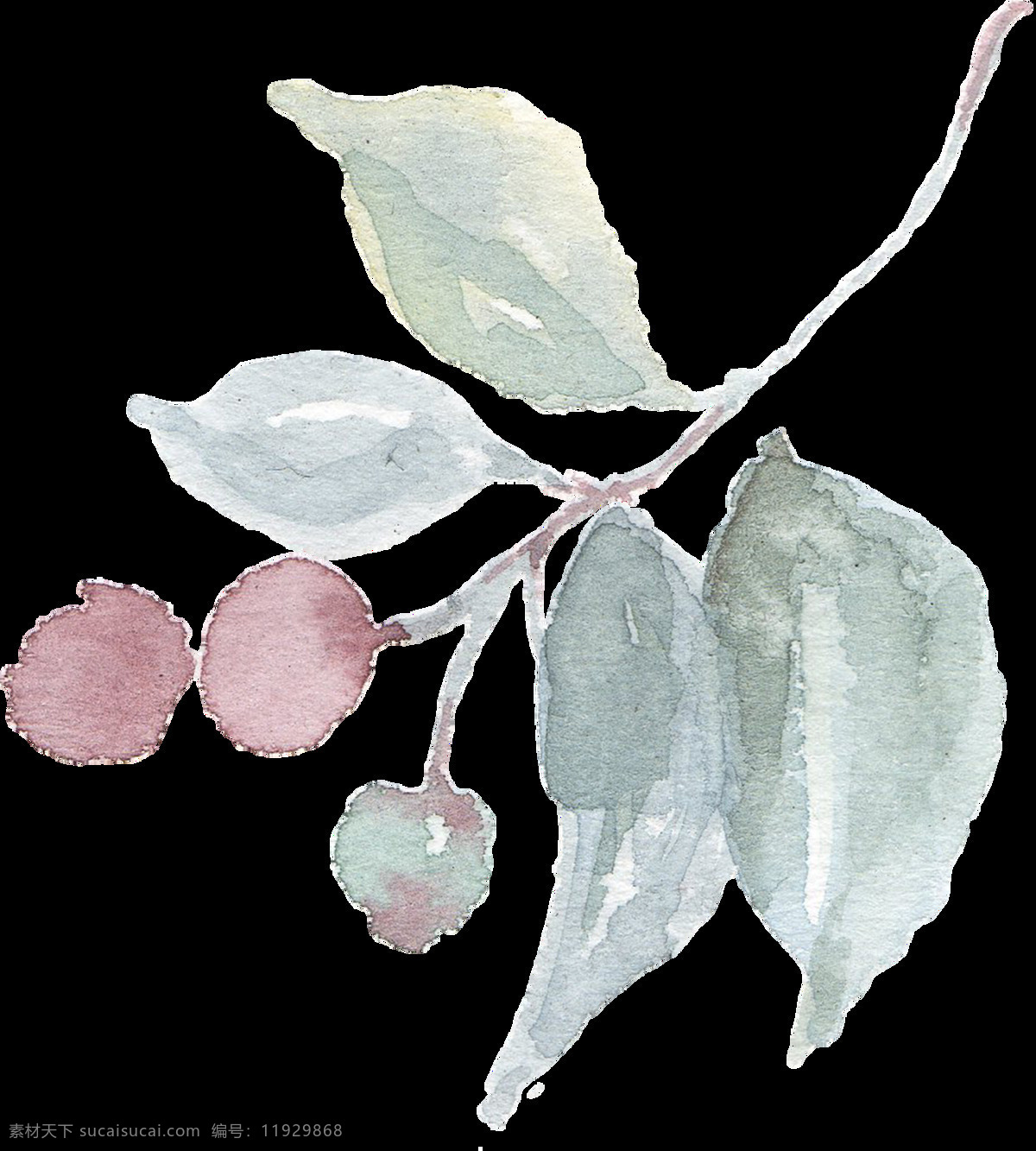 手绘 野果 树枝 水彩 透明 果实 红色 绿色 免扣素材 树叶 透明素材 装饰图片