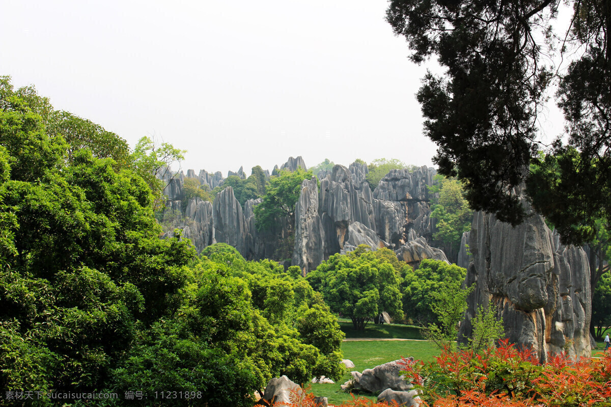 云南 石林 地质 公园 自然景观 自然风景 白色