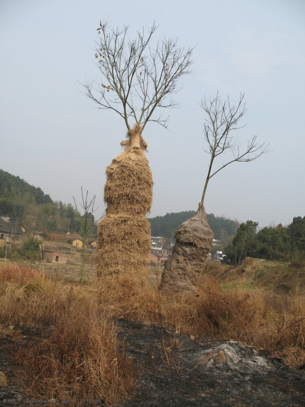 深秋的草垛 南方 农村 深秋 草堆 垛 灰色