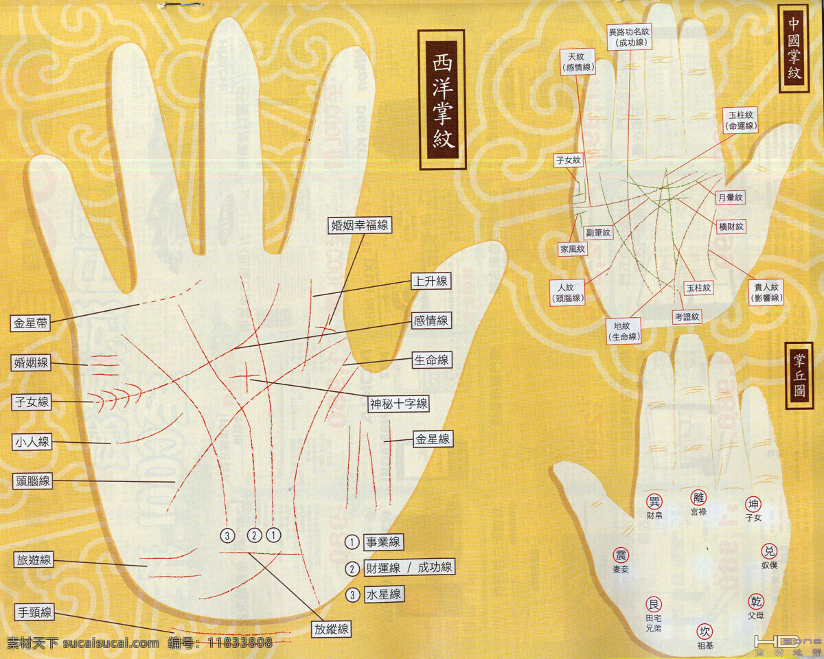 掌纹素材图片下载-素材编号11833808-素材天下图库