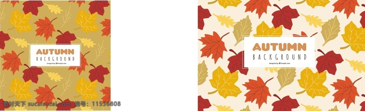 秋天 背景 落叶 图案 树叶 自然 可爱 多彩 平坦 丰富多彩 树木 色彩 平面设计 自然背景 有趣 图案背景