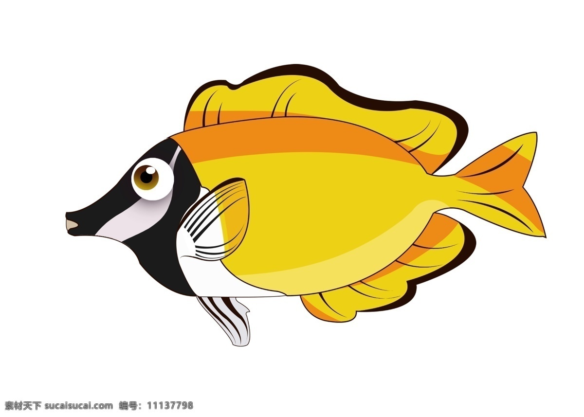 黄色 尖 嘴 鱼 生物 尖嘴鱼 水生