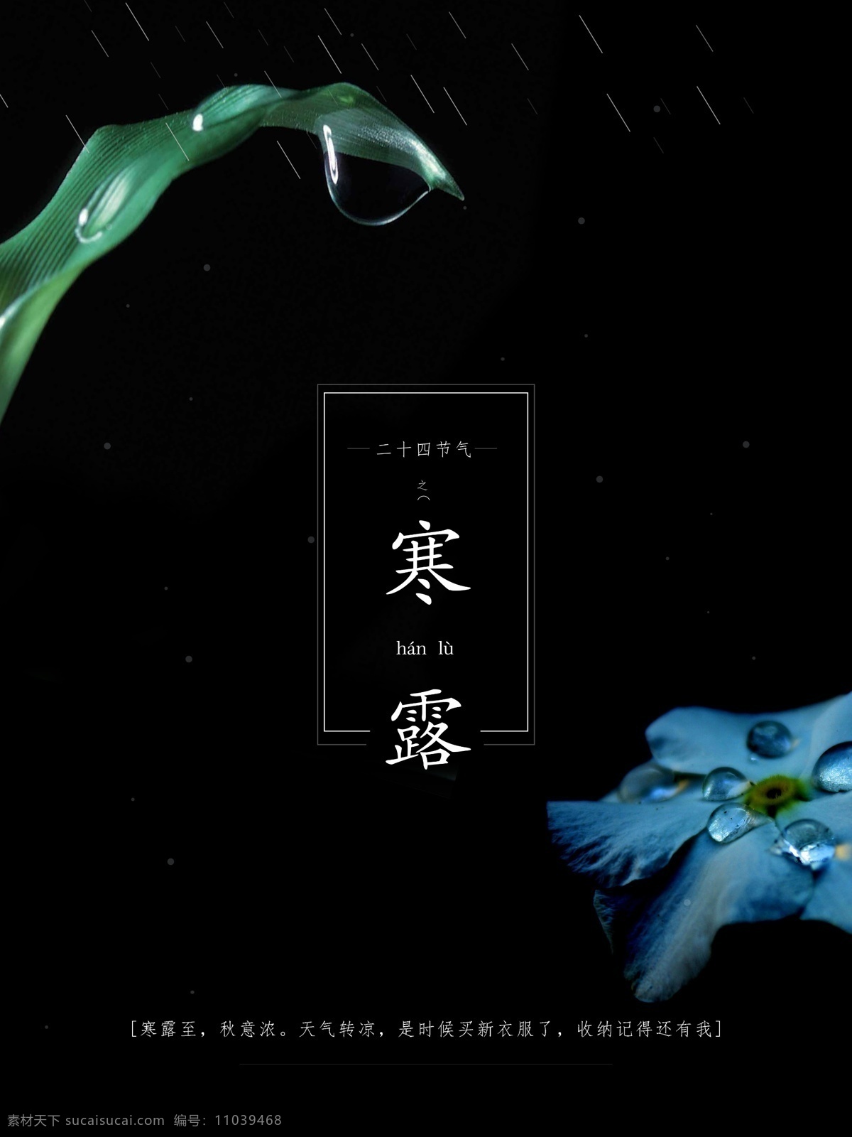 清新 简约 二十四节气 寒露 宣传海报 24节气 节气 唯美 寒露节气 传统节气 农历寒露 露水 露珠 寒露海报 寒露配图 寒露文化 时节 感 兴趣
