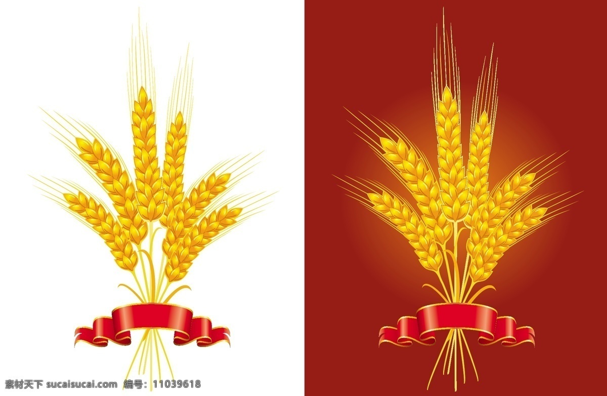 麦穗丝带 麦穗 丝带 麦子 矢量 手绘 底纹边框 花边花纹