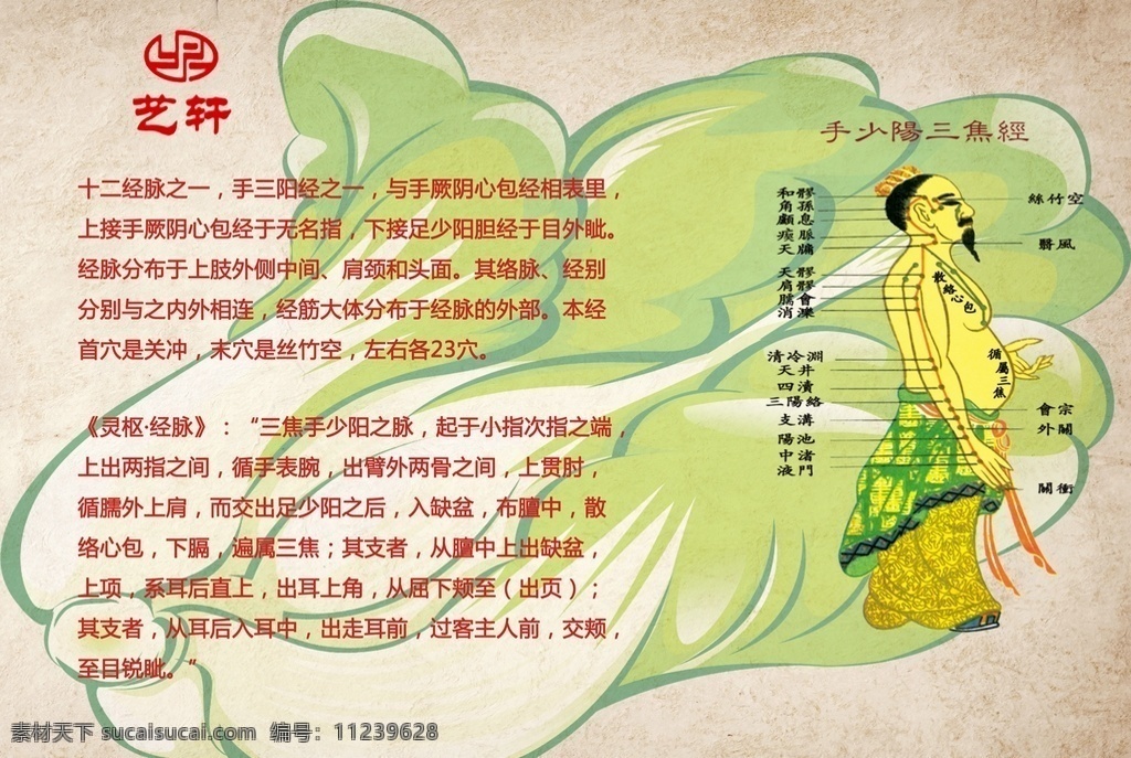 手 少阳 三焦 注释 按摩 保健 针灸 艾灸 经脉 人体 中医 生活百科 医疗保健