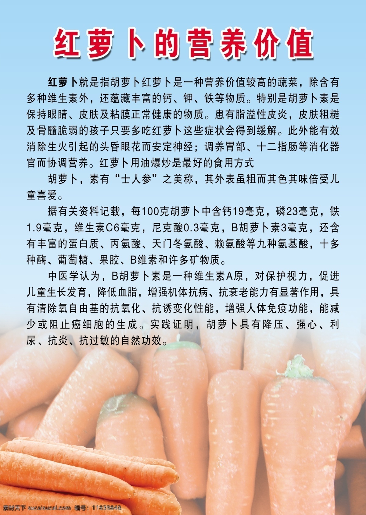 红萝卜 营养 价值 蔬菜 红萝卜的营养 人体 作用 分层