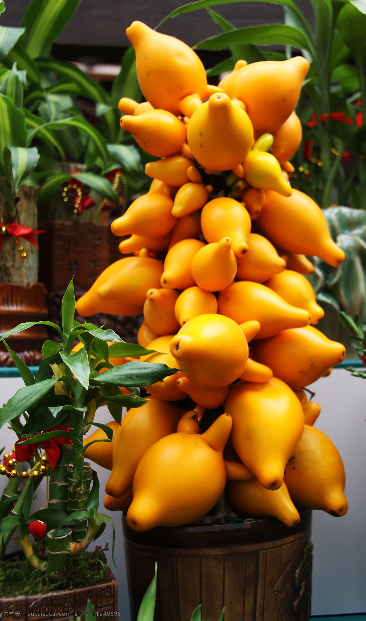 黄金果 黄色调 观赏果 花草 生物世界