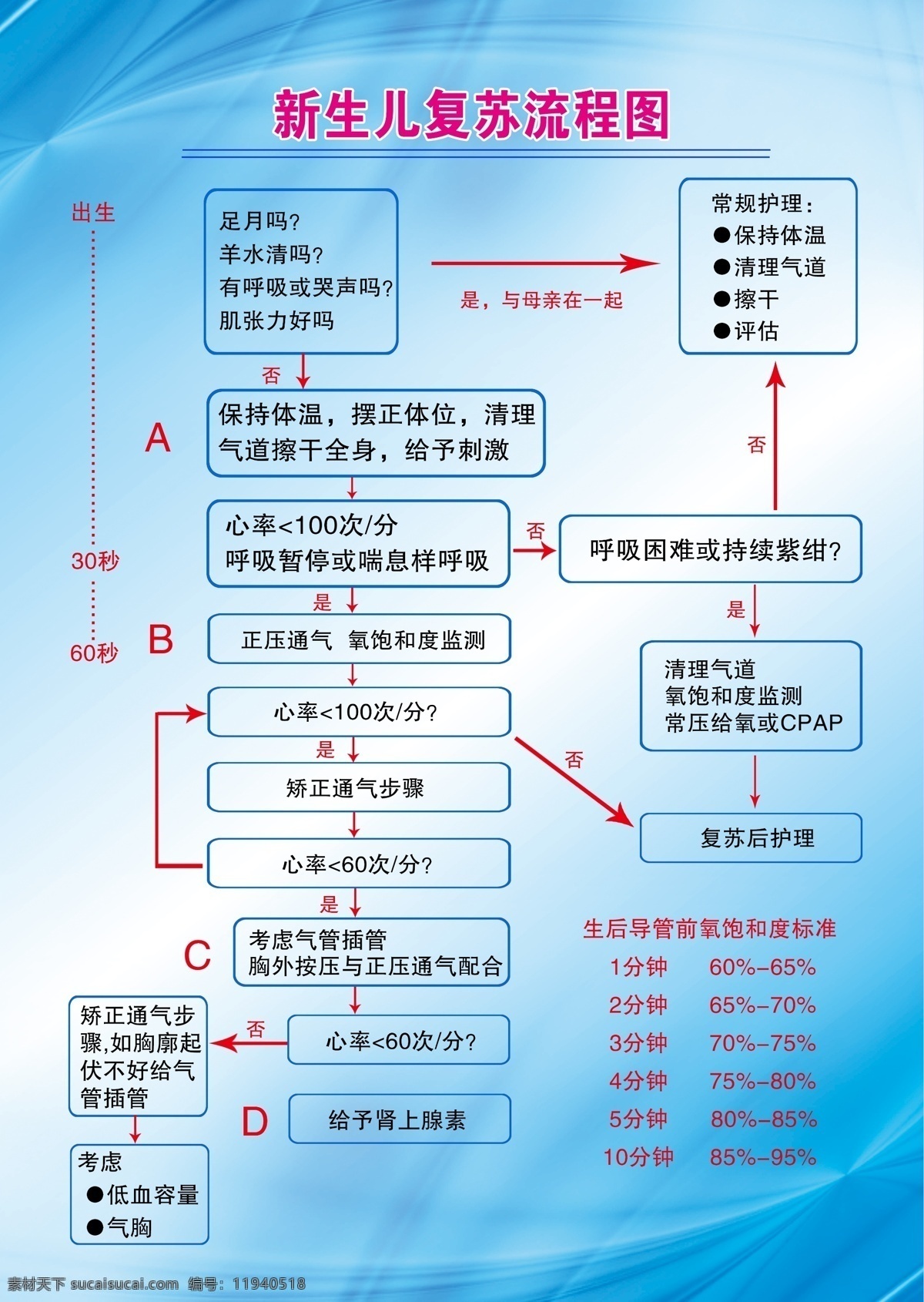 新生儿 复苏 流程图 医院 产科 妇产科 制度牌 分层