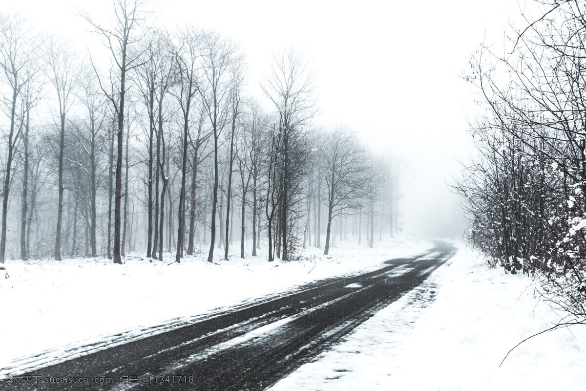 雪天公路图片 下雪 公路 树木 白色 冬天 自然景观 自然风景