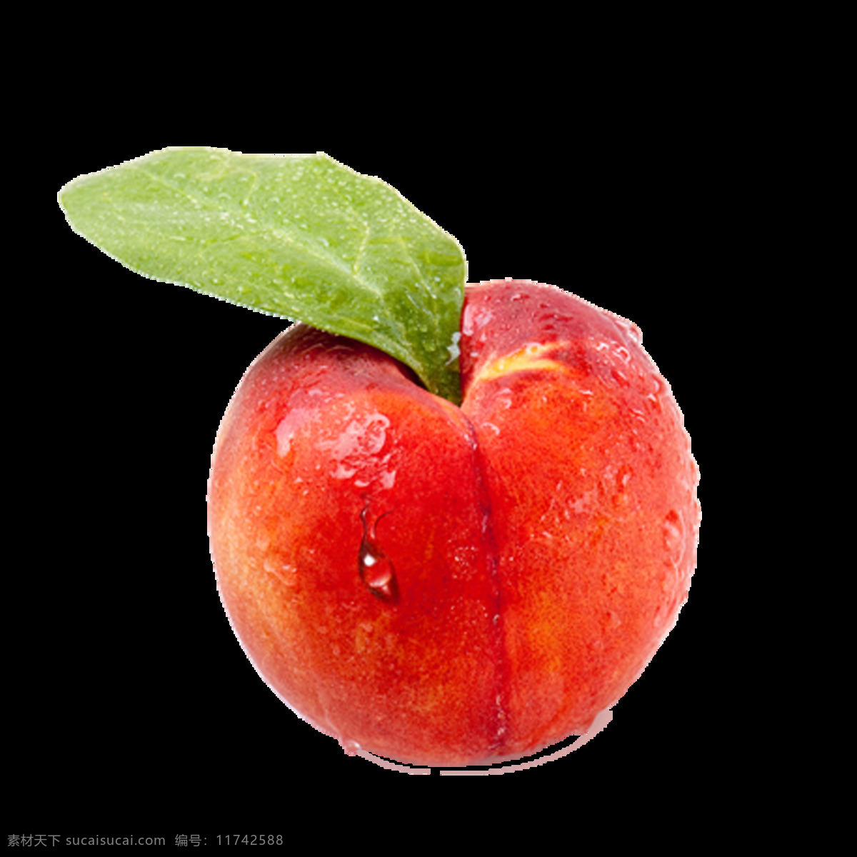 创意 水果 手 绘图 透明 装饰 免 扣 逼真 红色 绿色 苹果 水珠 叶子