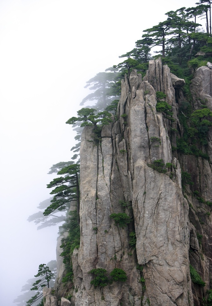 黄山 安徽 安徽黄山 迎客松 绿树 树木 天空 白云 风景 风景名胜 自然景观