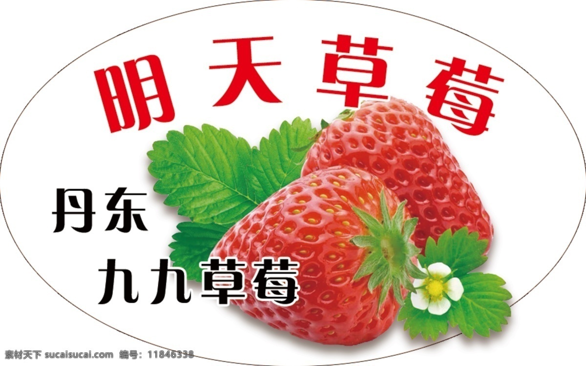 草莓 不干胶 标签 鲜果 异形 叶子 丹东 九九 分层