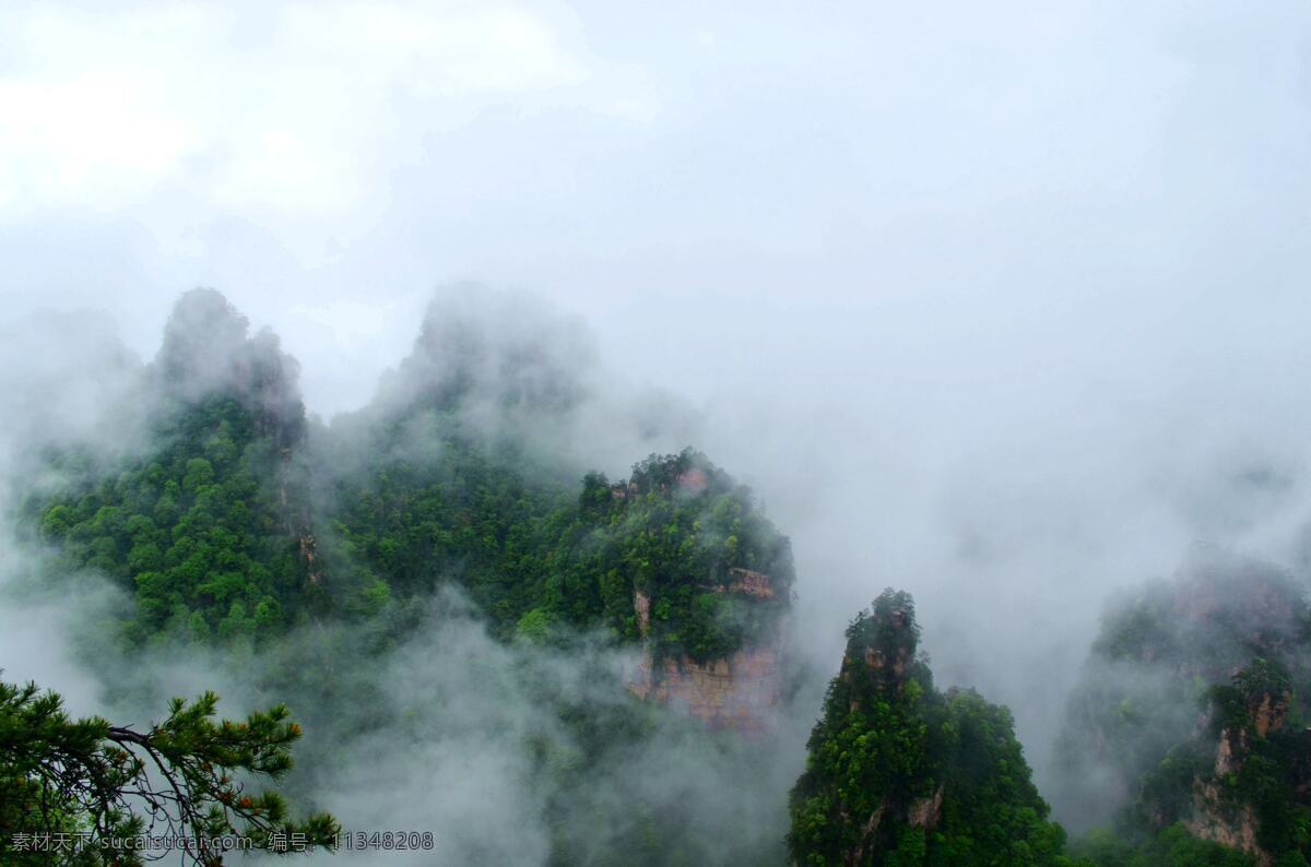 张家界 云雾 雨后 名胜 武陵源 奇石 风景 松树 绝景 山景 自然景观 自然风景