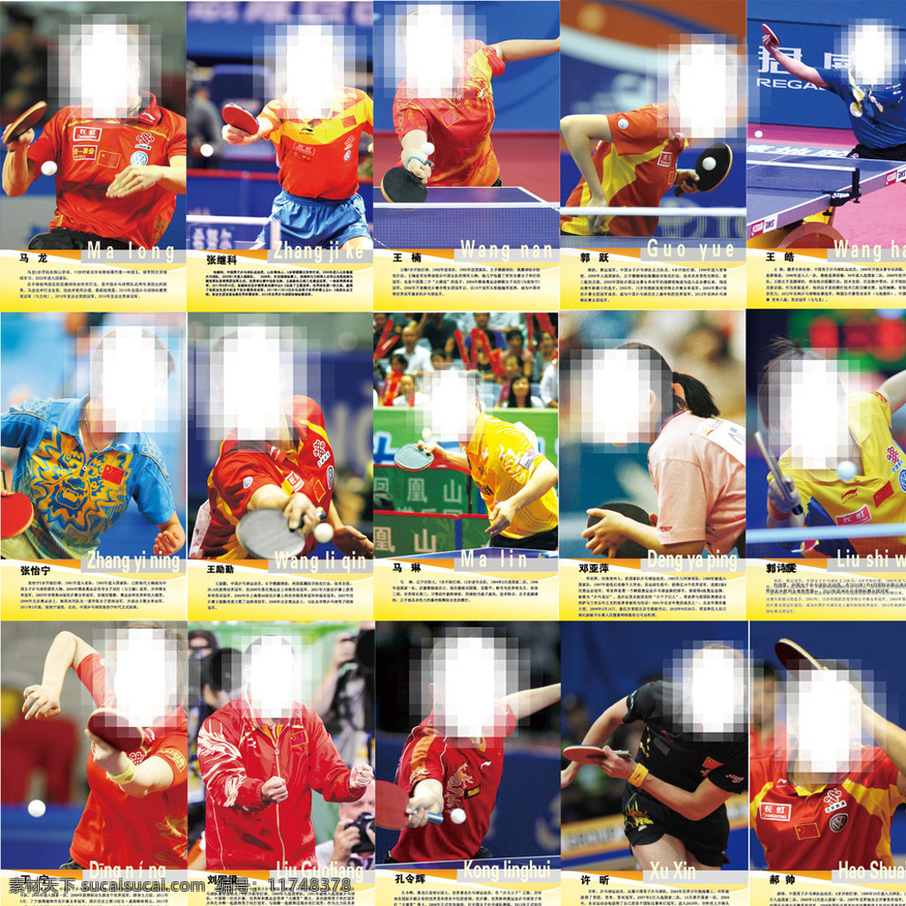 中国 乒乓球 十 五 名将 乒乓球运动员 运动员 世界冠军 海报 冠军 白色