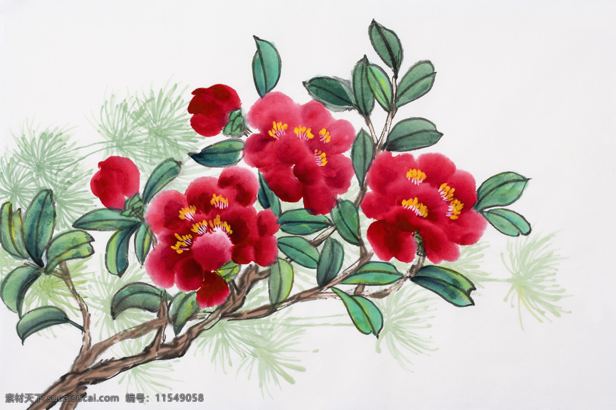 绘画花卉 绘画 花朵 中国画 民俗 画作 茶花 绘画书法 文化艺术