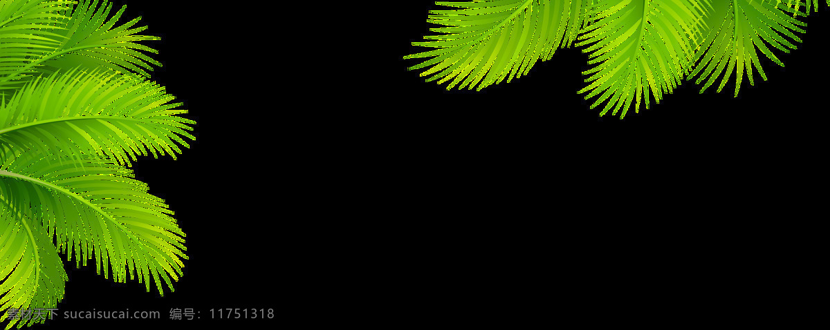 热带 植物 元素 透明 海报设计装饰 抠图专用 设计素材 树叶 淘宝素材 透明素材 装饰 装饰图案