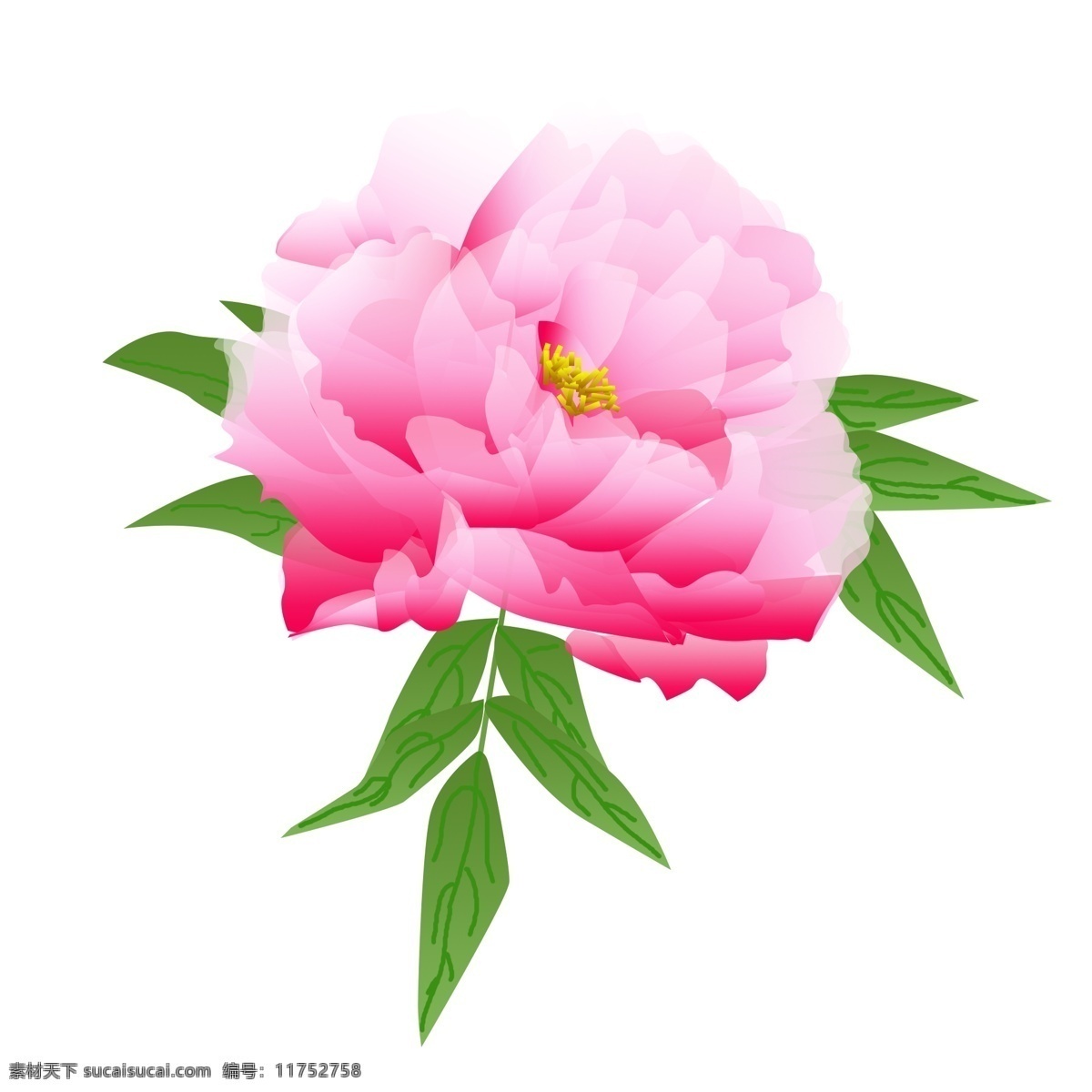 手绘 粉色 花卉 植物 古风 优美 牡丹 元素 粉