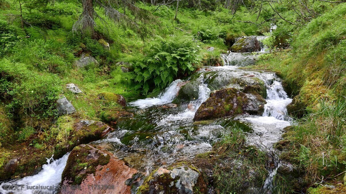 山涧溪流 小溪 溪流 山清水秀 青山绿水 自然景观 山水风景