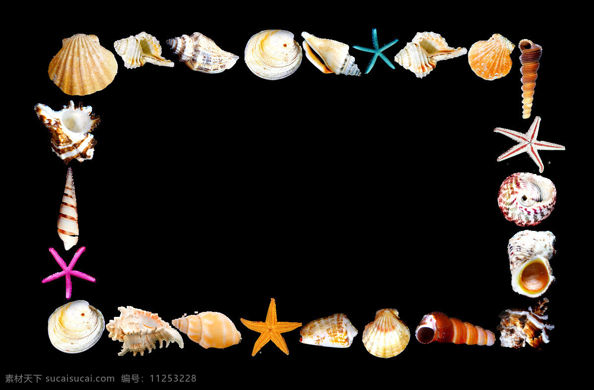 贝壳边框 贝壳 边框 相框 海星 海螺 底纹 生物世界 海洋生物