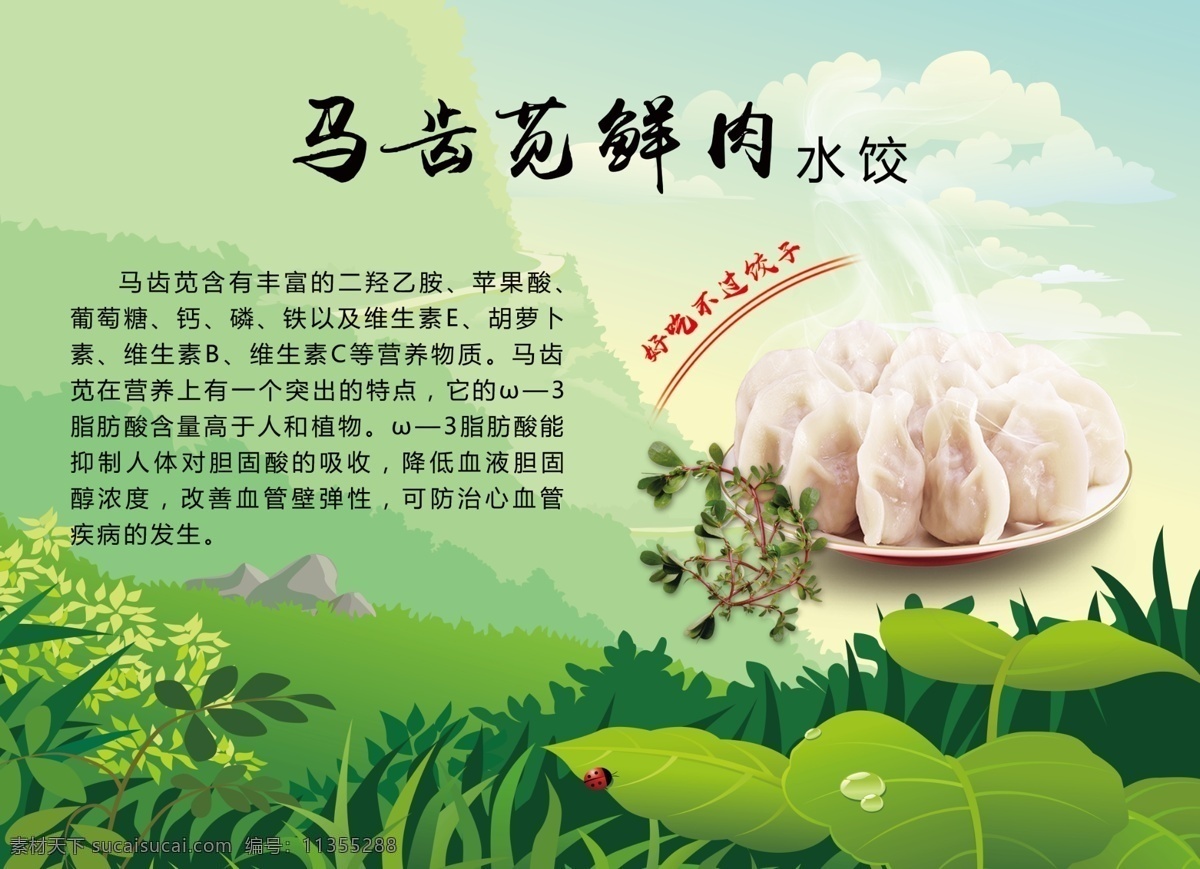 马齿苋 山野菜 绿色食品 水饺 饺子 饺子海报 绿色背景 美食