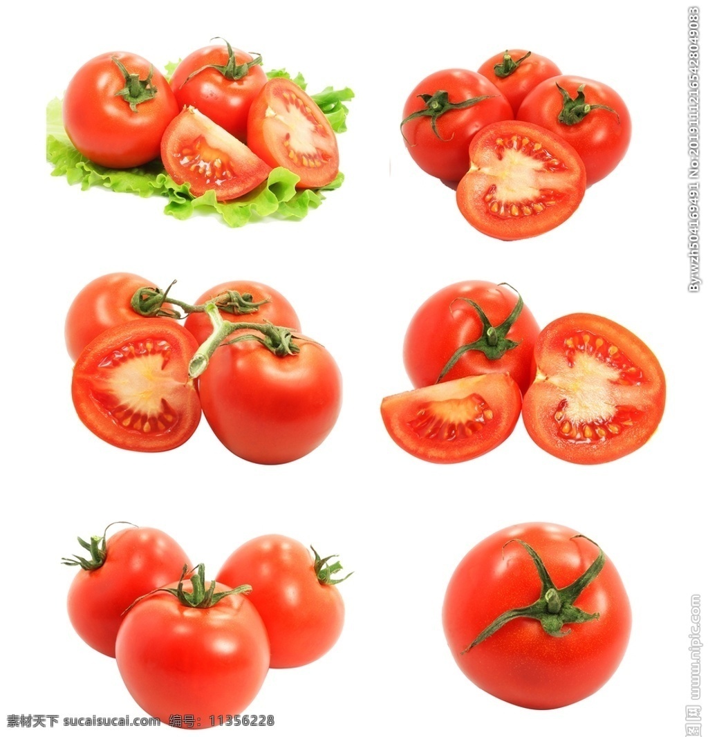 番茄 手绘 矢量素材 蕃柿 洋柿子 蔬菜 食物 食材 餐饮美食 食物原料 西红柿素材 番茄素材
