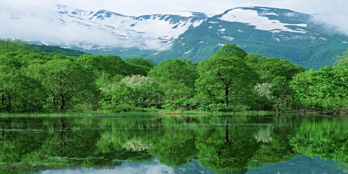 大幅风景画 大幅 风景画 山水 森林 云海 风景 大自然 绿树 自然风光 广告设计模板 其他模版 源文件