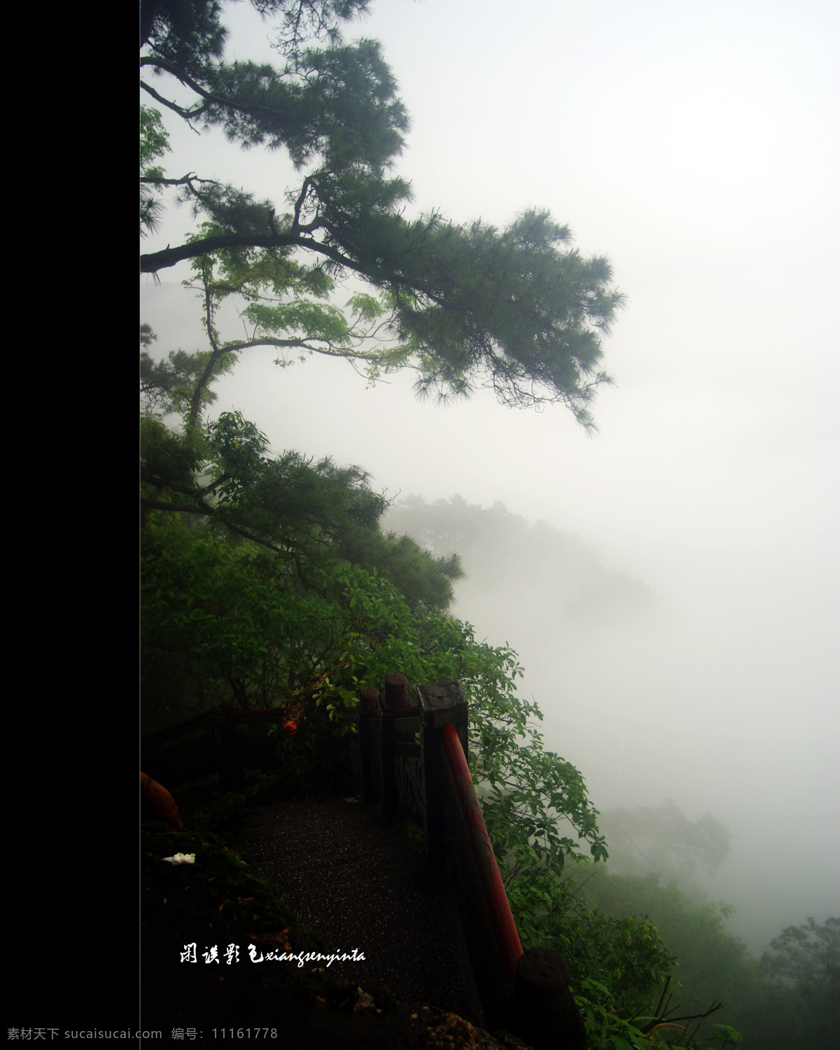 雨雾 山景 风景 绿色 山 树木 生活 旅游餐饮